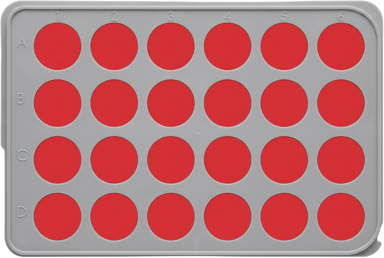 Standard 24 well-plate: static culture in every well